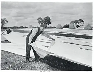 Spreading Prints: Linen Worker in Ireland