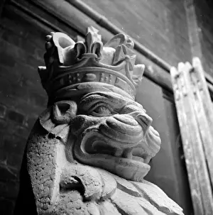 Rollei Prints: The Lion Of England