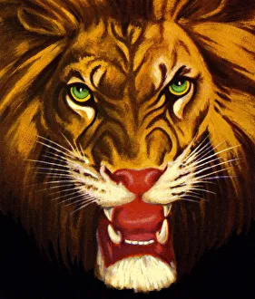 Cruel Gallery: Lion Growling