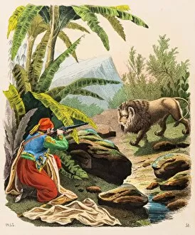 Hunter Gallery: Lion hunt engraving 1853