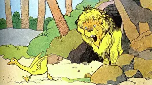 Lion Prints: Lion Scares Gedeon