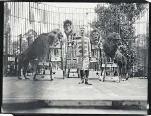 Caution Prints: Lion Tamer Posing with His Lions