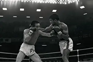 Lionel Rose in Boxing Match Action