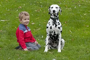 Dalmatian Prints: Little boy with Dalmatian