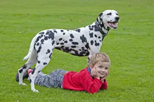 Resting Prints: Little boy lying under a Dalmatian