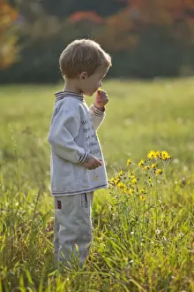 Free Prints: Little boy in a meadow
