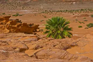 Little Finland rock formation in Gold Butte National Monument, Mesquite, Nevada, USA