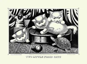 Scared Prints: Two little fraid cats