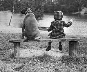 Plaid Prints: Little Girl And Dog