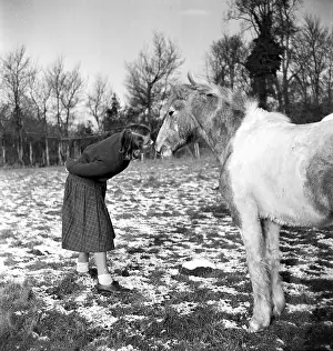 Personal Prints: Her Little Pony
