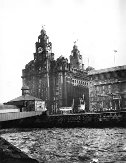 Liver Building