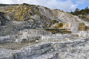 Living Color sinter terraces, coloured by thermophilic bacteria, Lower Terraces Area, Mammoth Hot Springs