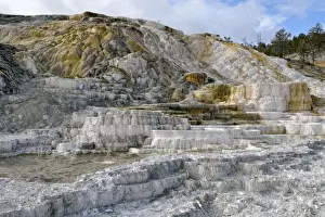 Sedimentation Prints: Living Color sinter terraces, coloured by thermophilic bacteria