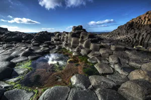 Images Dated 28th September 2013: Living Earth