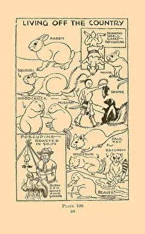 Rodents Prints: Living off the Country III