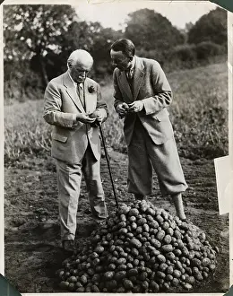 Pastoral Prints: Lloyd George Inspects his new Fertilized Grown potatoes