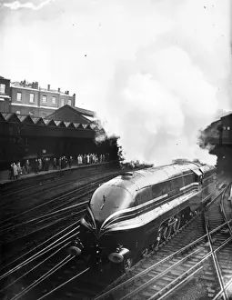 Train Rail Prints: LMS Centenary