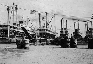 Loading Cotton