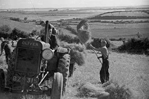 Loading Flax