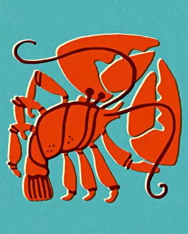 Images Dated 29th October 2012: Lobster