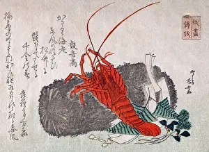 Lobster Prints: Lobster