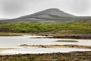 Loch Prints: Loch Gealain, Burren National Park, County Clare, Ireland, Europe