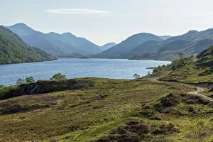 Images Dated 19th May 2012: Loch Lomond, Highlands, Scotland, United Kingdom