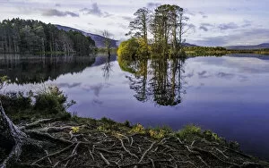 Images Dated 18th October 2013: Loch Mallachie