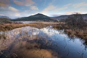 Scotland Gallery: Loch Tummel Scenic Vista