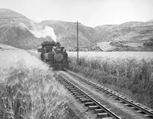 Wheat Prints: Locomotive On Peru Central Railroad
