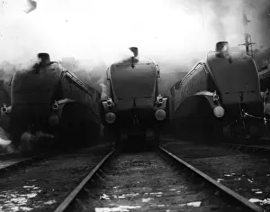 Prints of circa 1950: Three steam locomotives in the sidings. (Photo by Fox Photos/Getty Images) Timeless Treasures: Iconic Black and White Prints from the Fox Photo Library: Three Locomotives