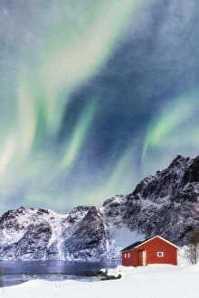 Northern Lights Collection: Lofoten Islands, Norway. Aurora Borealis over a red rorbu house. Svolvaer