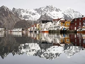 Images Dated 17th April 2014: The Lofoten mountains being reflected in the water of the harbour of Henningsvaer, Lofoten, Norway