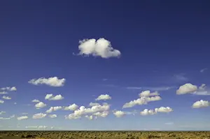 Lofty cumulus clouds, Nullarbor Plain, Australia