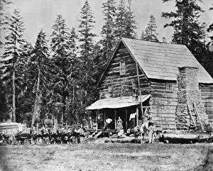Log Cabin Prints: Log Cabin In Woods Used As Hotel
