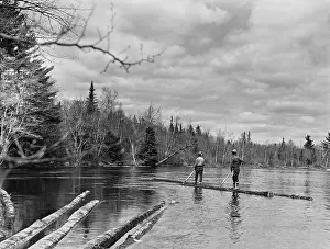 Huty34298 Prints: Log Drivin Men