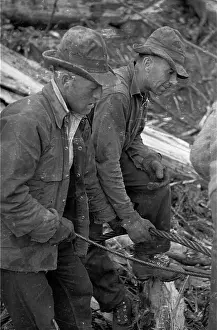 Rope Prints: Loggers And Cables