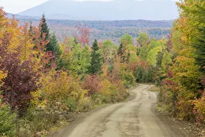 Images Dated 6th October 2015: Logging road near East Kennebago Mountain, Reddington Township, Maine, USA