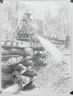 Raw Material Prints: Logging Train in Australian Forest