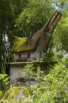 Images Dated 14th March 2010: Lokomata burial site in the shape of a traditional Toraja house, near Ratepao, Sulawesi
