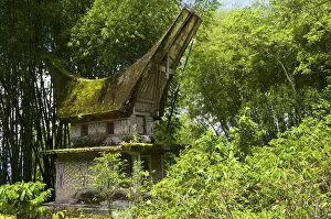 Images Dated 14th March 2010: Lokomata burial site in the shape of a traditional Toraja house, near Ratepao, Sulawesi