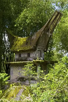 Embellished Prints: Lokomata burial site in the shape of a traditional Toraja house