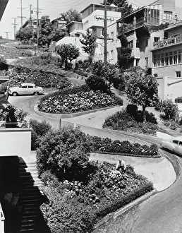 Huty28216 Prints: Lombard Street, San Francisco