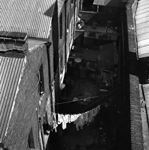 Washing Line Prints: London Backyards