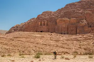 Palace Tomb Prints: Lone Donkey in Front of Nabataean Tombs