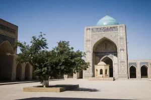 Uzbekistan Prints: Lone tree in Kalyan Mosque, Bukhara, Uzbekistan