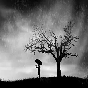 Rain Gallery: Lonely man with umbrella underneath tree