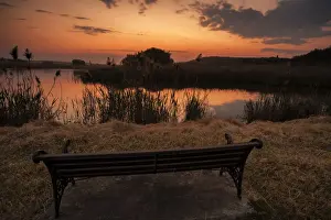 Lakeshore Prints: Lonesome bench landscape at sunset on the shore of a remote farm lake