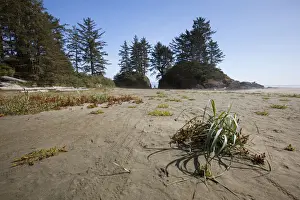 Long Beach In Pacific Rim National Park Near Tofino; British Columbia Canada
