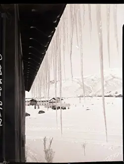 Icicle Prints: Long Icicles Hanging from Eaves